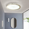 Contemporary Flush Mount Light for Living Room Crystal Ceiling Lamp